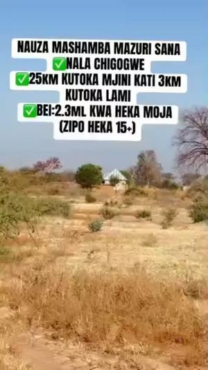 Shamba linauzwa Chigongwe, Dodoma (15 acre)