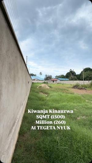 Kiwanja kinauzwa Tegeta Nyuki, Dar Es Salaam sqm 1500 Kiwanja kinauzwa Tegeta Nyuki, Dar Es Salaam sqm 1500