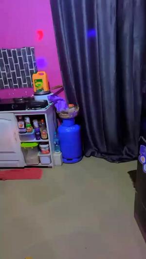 1 Bedroom House for Rent in Mwenge, Dar Es Salaam