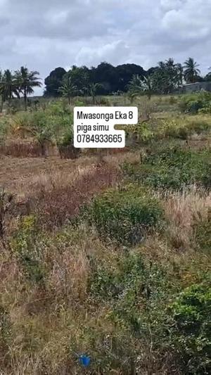 Farm for Sale in Kigamboni Mwasonge, Dar Es Salaam (8 acre) Farm for Sale in Kigamboni Mwasonge, Dar Es Salaam (8 acre)