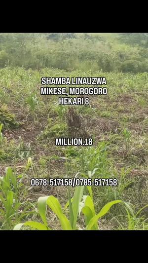 Shamba linauzwa Mikese, Morogoro