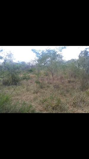 Farms for sale in Bagamoyo, Pwani acre 2 Farms for sale in Bagamoyo, Pwani acre 2