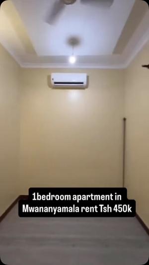 1 Bedroom Apartment for Rent in Mwananyamala, Dar Es Salaam