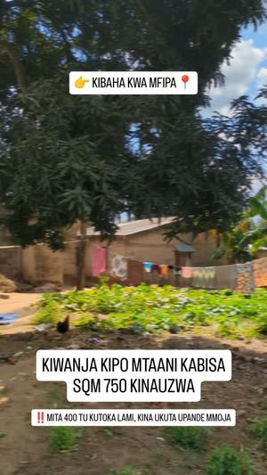 Residential Plot for Sale in Kibaha Kwa Mfipa, Pwani (750 sqm) Residential Plot for Sale in Kibaha Kwa Mfipa, Pwani (750 sqm)