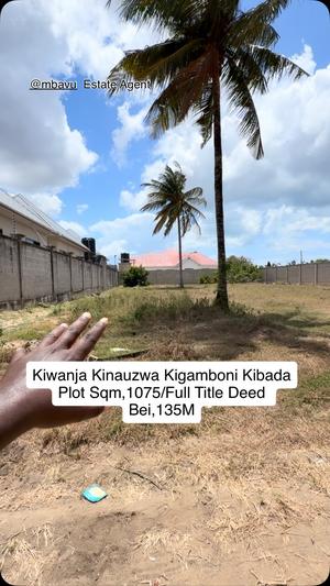 Kiwanja kinauzwa Kibada Shangwe, Dar Es Salaam (1075 sqm) Kiwanja kinauzwa Kibada Shangwe, Dar Es Salaam (1075 sqm)