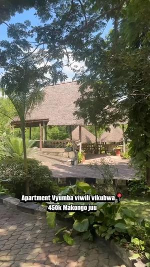 Apartment ya vyumba viwili inapangishwa Makongo Juu, Dar Es Salaam