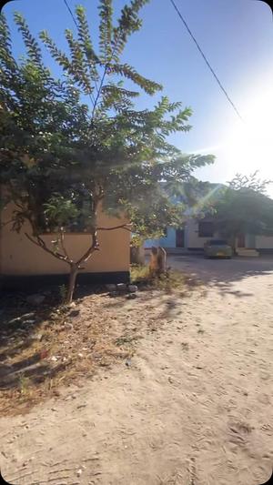 Nyumba ya chumba kimoja inapangishwa Kisiwani, Dar Es Salaam Nyumba ya chumba kimoja inapangishwa Kisiwani, Dar Es Salaam