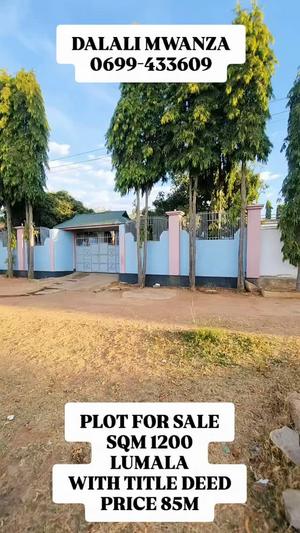 Residential Plot for Sale in Lumala, Mwanza (1200 sqm)