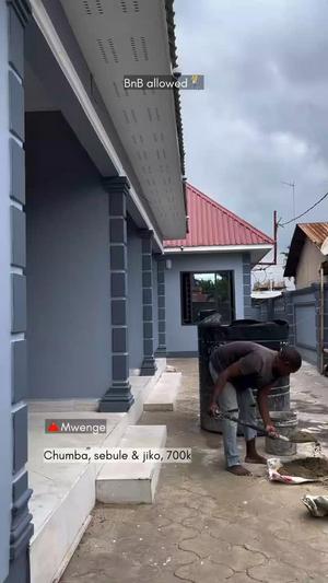 1 Bedroom Apartment for Rent in Mwenge, Dar Es Salaam