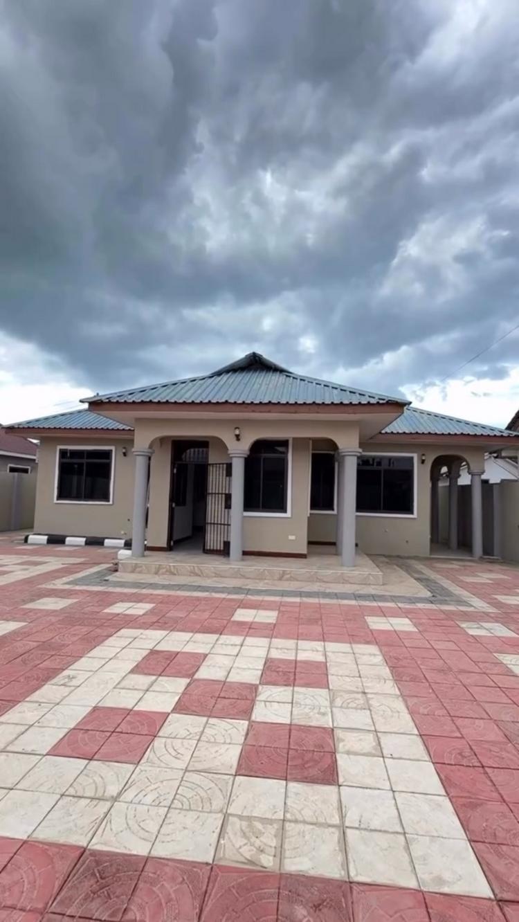 media -1 media -1