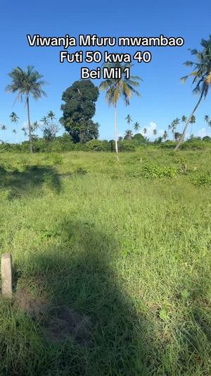 Viwanja vinauzwa Vikindu Vianzi Mfurumwambao, Pwani
