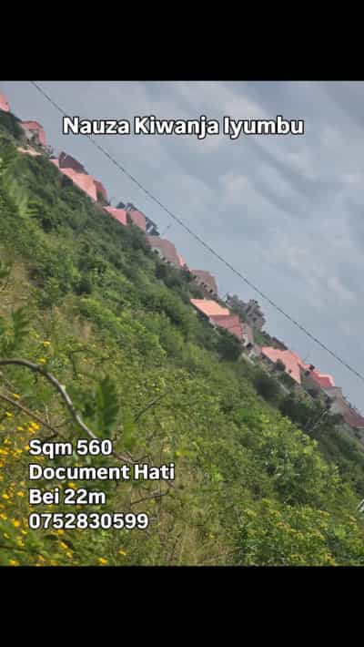 Kiwanja kinauzwa Iyumbu North, Dodoma (560 sqm)