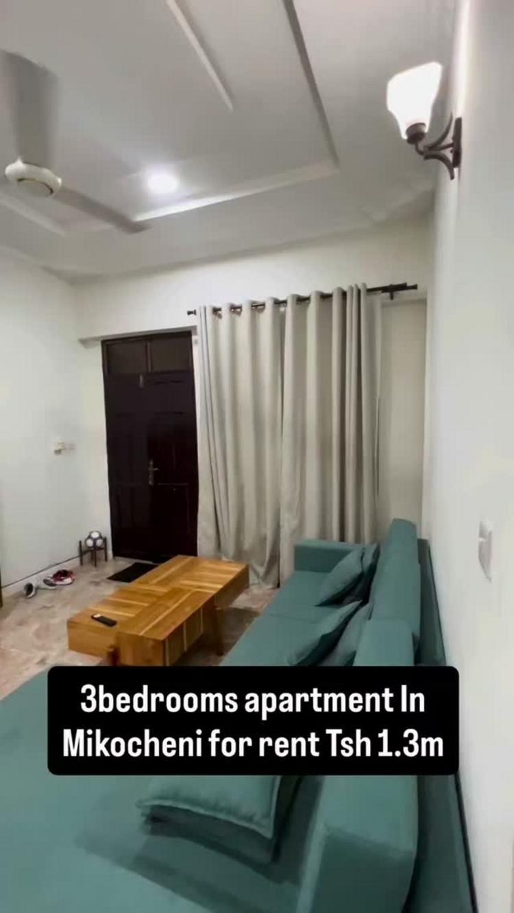 media -1 media -1