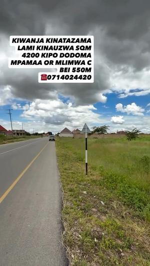 Commercial Plot for Sale in Mlimwa C, Dodoma (4200 sqm)