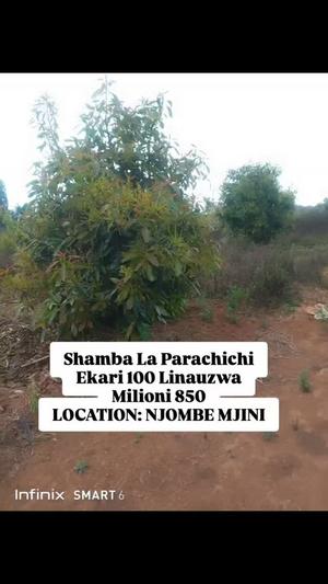 Farm for Sale in Njombe Mjini (100 acre) Farm for Sale in Njombe Mjini (100 acre)