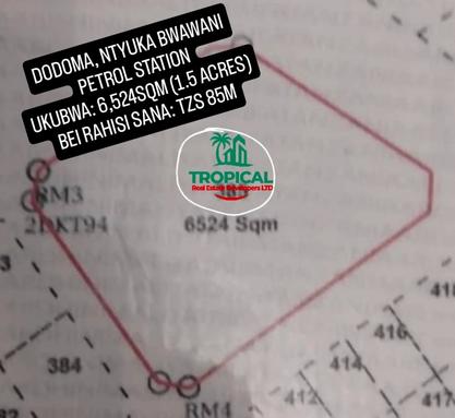 Petrol Station for Sale in Ntyuka Bwawani, Dodoma (6524 sqm)