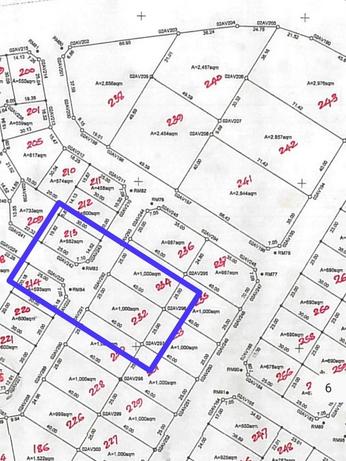 Kiwanja kinauzwa Nghonghonha Mhande, Mwanza (1000 sqm)