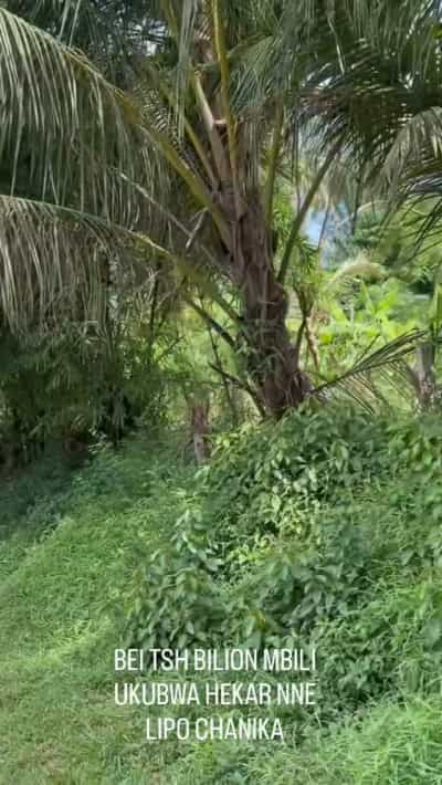 Commercial Plot for Sale in Chanika, Dar Es Salaam (19600 sqm) Commercial Plot for Sale in Chanika, Dar Es Salaam (19600 sqm)