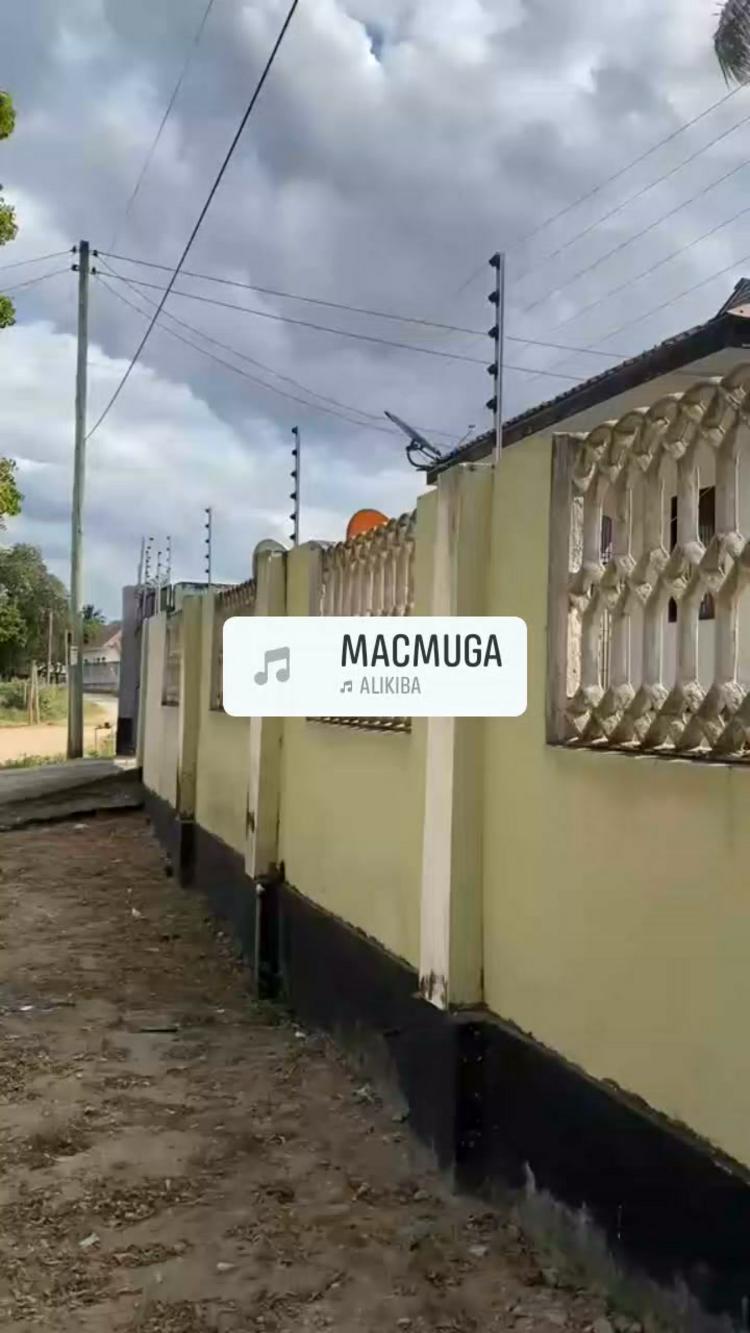 media -1 media -1