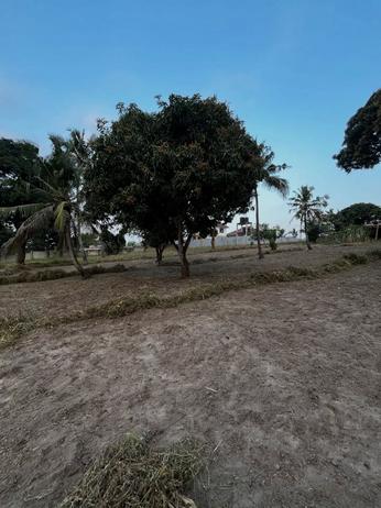 Residential Plot for Sale in Makongo Juu, Dar Es Salaam (913 sqm) Residential Plot for Sale in Makongo Juu, Dar Es Salaam (913 sqm)