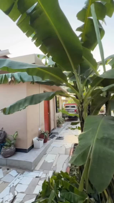 2 Bedrooms House for Rent in Kinondoni, Dar Es Salaam 2 Bedrooms House for Rent in Kinondoni, Dar Es Salaam