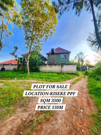 Kiwanja kinauzwa Kiseke Ppf, Mwanza sqm 3500 Kiwanja kinauzwa Kiseke Ppf, Mwanza sqm 3500