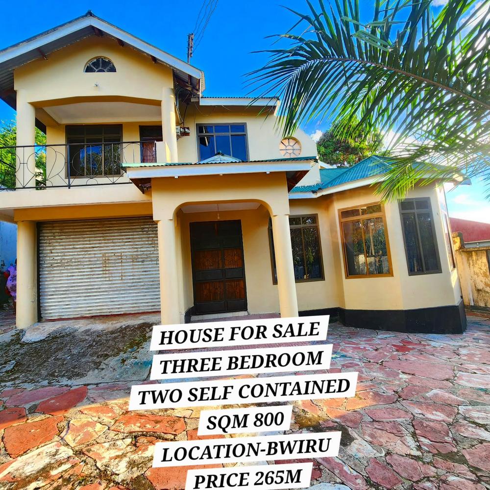 media -1 media -1