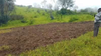 Plot for sale in Forest, Mbeya Plot for sale in Forest, Mbeya