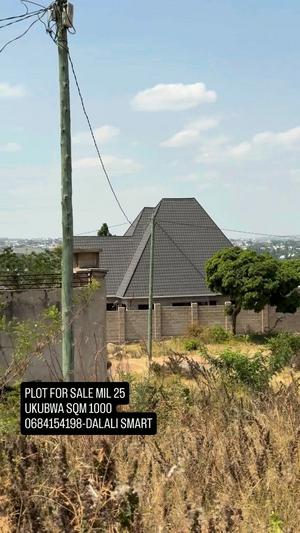 Plot for sale in Nyasaka Zenze, Mwanza sqm 1000