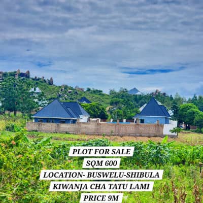 Kiwanja kinauzwa Buswelu, Mwanza