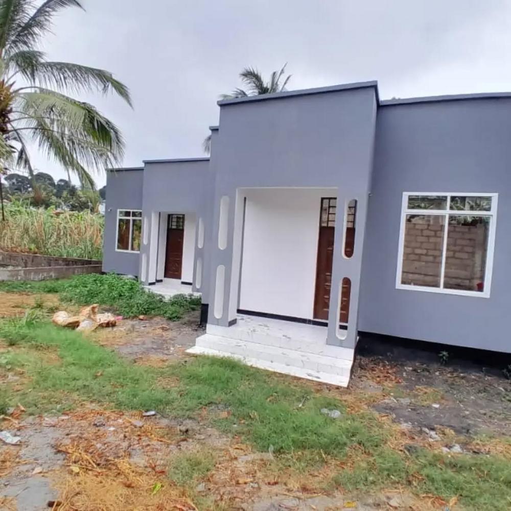 media -8 media -8