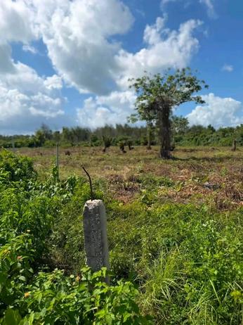 Beach Plot for Sale in Pongwe Ya Uroa, Tanga (5000 sqm) Beach Plot for Sale in Pongwe Ya Uroa, Tanga (5000 sqm)