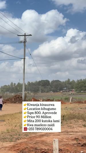 Kiwanja kinauzwa Kibugumo, Dar Es Salaam (800 sqm) Kiwanja kinauzwa Kibugumo, Dar Es Salaam (800 sqm)