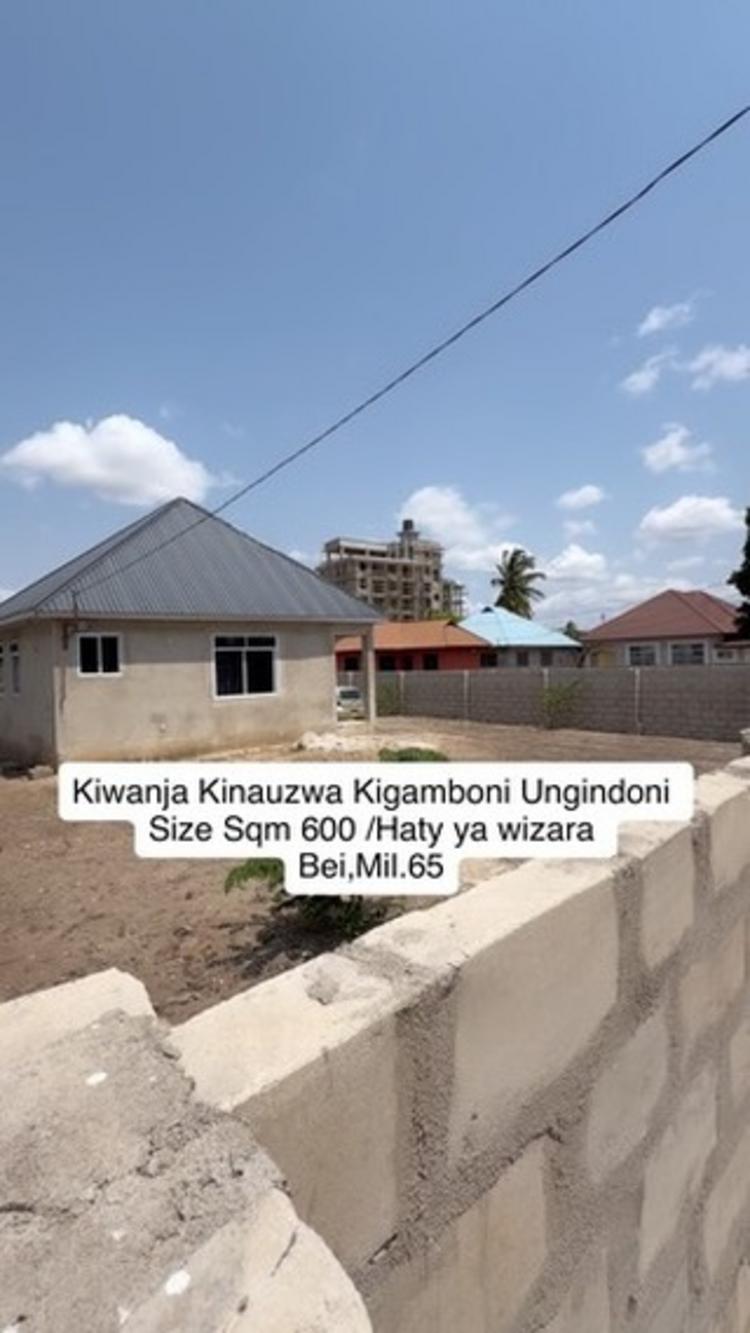 media -1 media -1