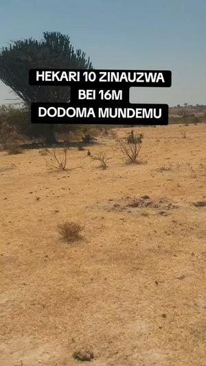 Shamba linauzwa Mundemu, Dodoma (10 acre) Shamba linauzwa Mundemu, Dodoma (10 acre)