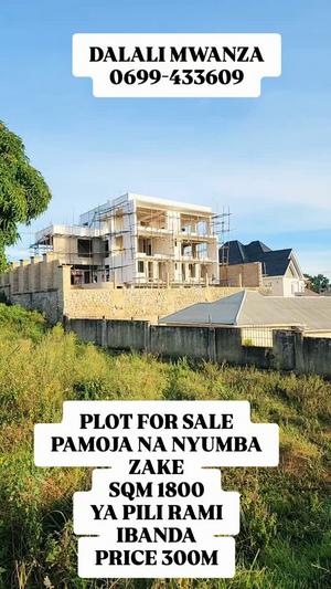 Kiwanja kinauzwa Ibanda, Mwanza (1800 sqm)