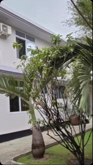 Nyumba ya vyumba vitano inauzwa Mikocheni, Dar Es Salaam (522 sqm) Nyumba ya vyumba vitano inauzwa Mikocheni, Dar Es Salaam (522 sqm)