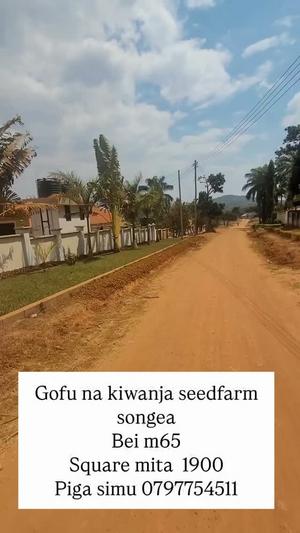 Kiwanja kinauzwa Seedfarm, Ruvuma (1900 sqm) Kiwanja kinauzwa Seedfarm, Ruvuma (1900 sqm)