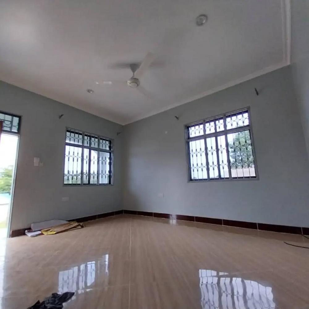 media -4