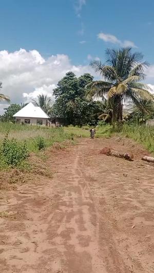 Kiwanja kinauzwa Chanika Homboza, Dar Es Salaam (195 sqm)