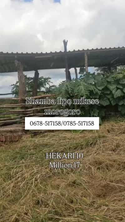 Shamba linauzwa Mikese Nyalung'gwambe, Morogoro (10 acre)