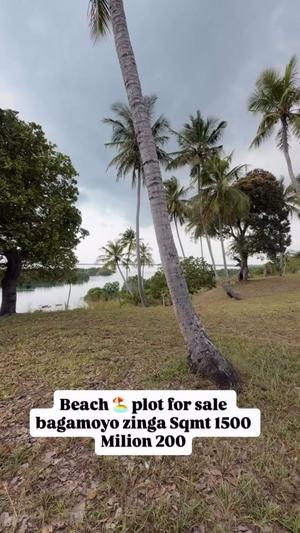 Residential/Commercial Plot for Sale in Zinga, Pwani (1500 sqm) Residential/Commercial Plot for Sale in Zinga, Pwani (1500 sqm)