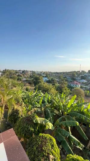Nyumba ya vyumba 7 inauzwa Salasala Nea Ushuarini, Dar Es Salaam (2180 sqm) Nyumba ya vyumba 7 inauzwa Salasala Nea Ushuarini, Dar Es Salaam (2180 sqm)