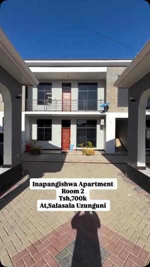 Apartment ya vyumba viwili inapangishwa Salasala Ushwani, Dar Es Salaam Apartment ya vyumba viwili inapangishwa Salasala Ushwani, Dar Es Salaam