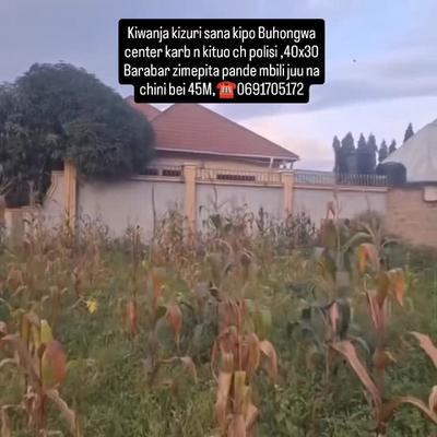 Kiwanja kinauzwa Buhongwa, Mwanza (1200 sqm)