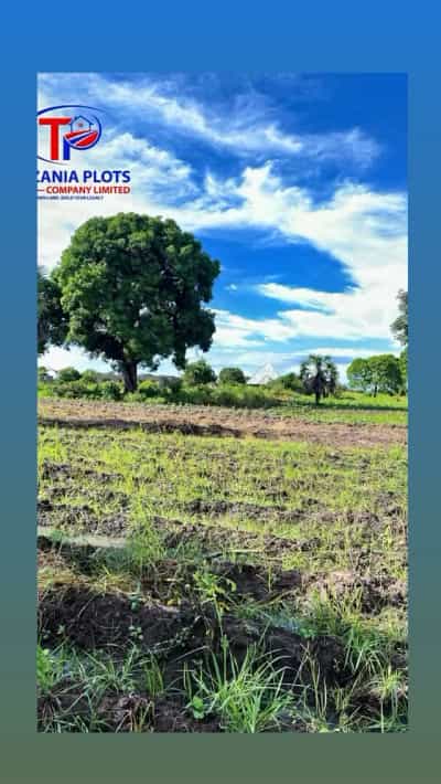 Viwanja vinauzwa Kimbiji, Dar Es Salaam (400 sqm) Viwanja vinauzwa Kimbiji, Dar Es Salaam (400 sqm)