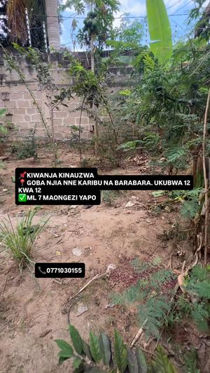 Kiwanja kinauzwa Goba Njia Nne, Dar Es Salaam (144 sqm) Kiwanja kinauzwa Goba Njia Nne, Dar Es Salaam (144 sqm)