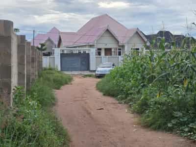 Kiwanja kinauzwa Mlimwa C, Dodoma (1000 sqm)