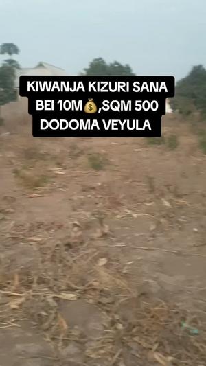 Kiwanja (Residential/Commercial) kinauzwa Dodoma Veyula (500 sqm)