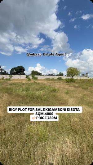 Kiwanja (Commercial Plot) kinauzwa Kisota, Kigamboni, Dar Es Salaam (4000 sqm)